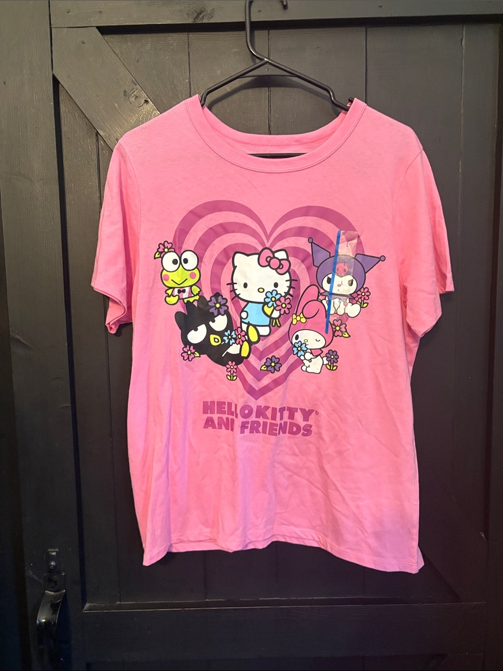 Hello Kitty Pink Graphic Tee with Characters & Heart